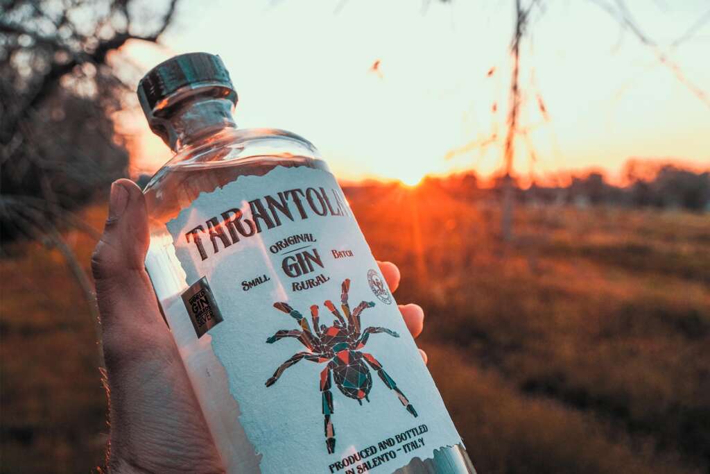 tarantola gin